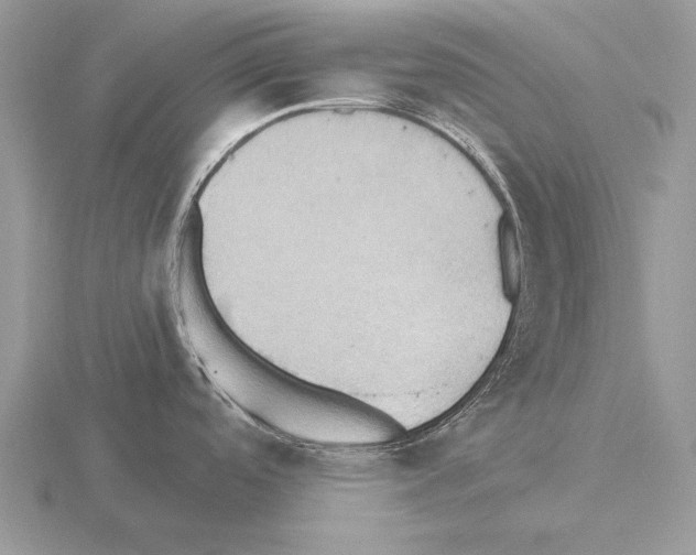 X0000115401488200912151510