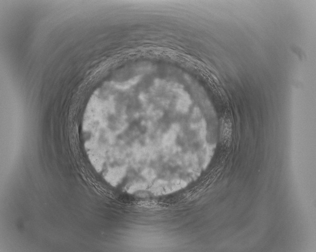 X0000115401489200912151510