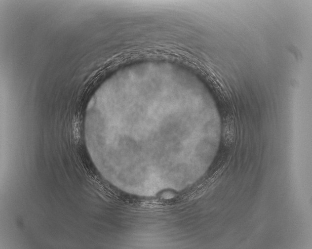 X0000115401490200912151510