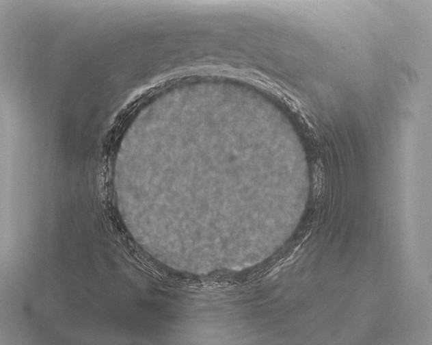 X0000115401494200912151510