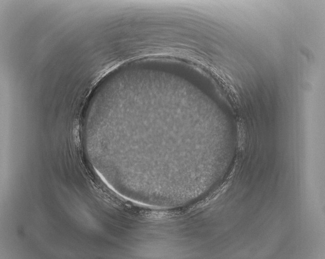 X0000115401497200912151510