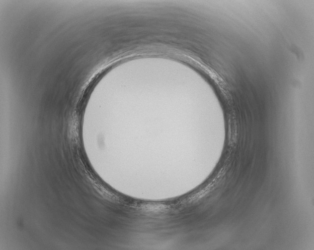 X0000115401498200912151510