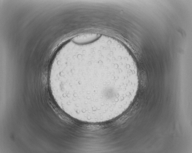 X0000115401499200912151510