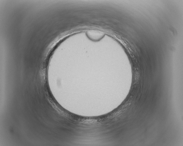 X0000115401503200912151510