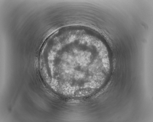 X0000115401505200912151510