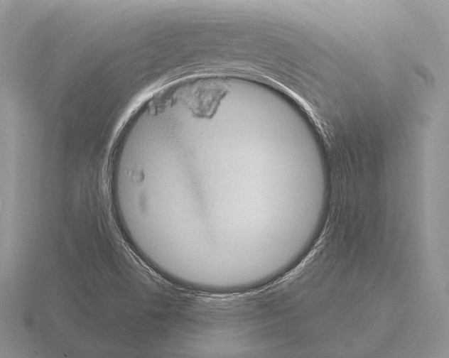 X0000115401506200912151510