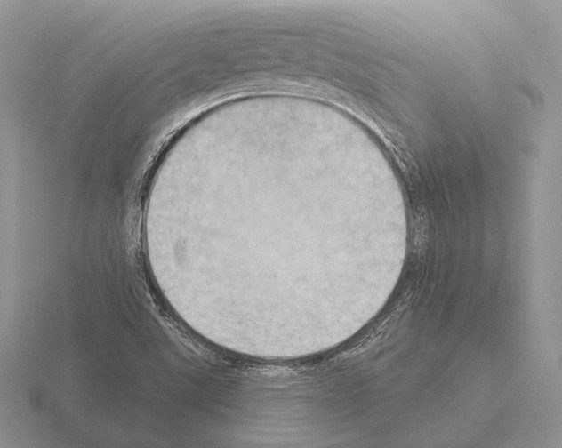 X0000115401507200912151510