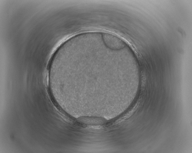 X0000115401509200912151510