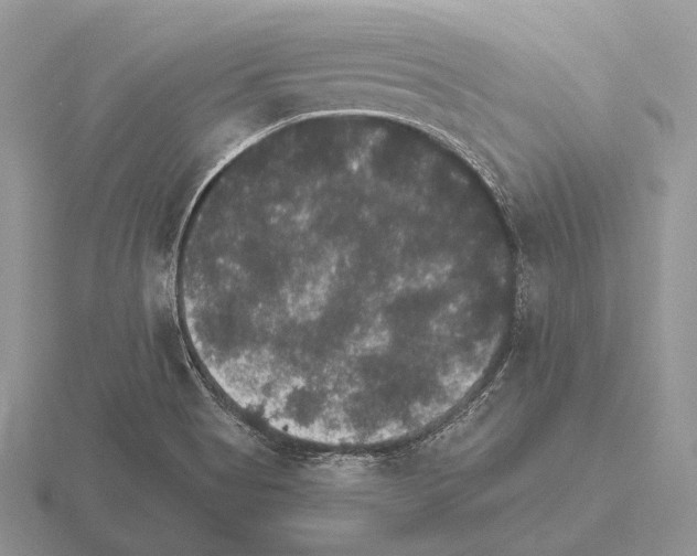 X0000115401513200912151510