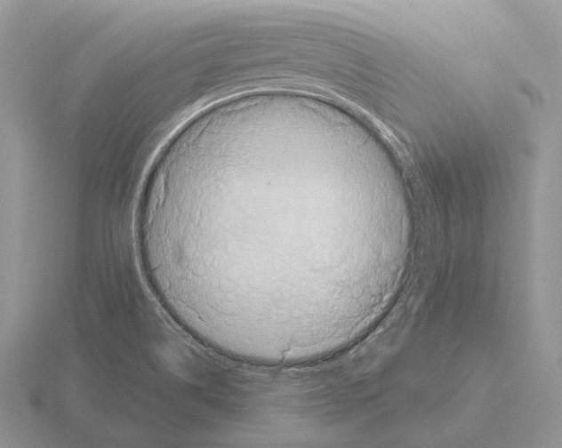 X0000115401514200912151510