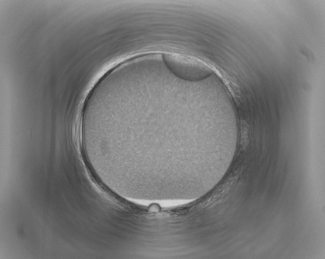 X0000115401515200912151510