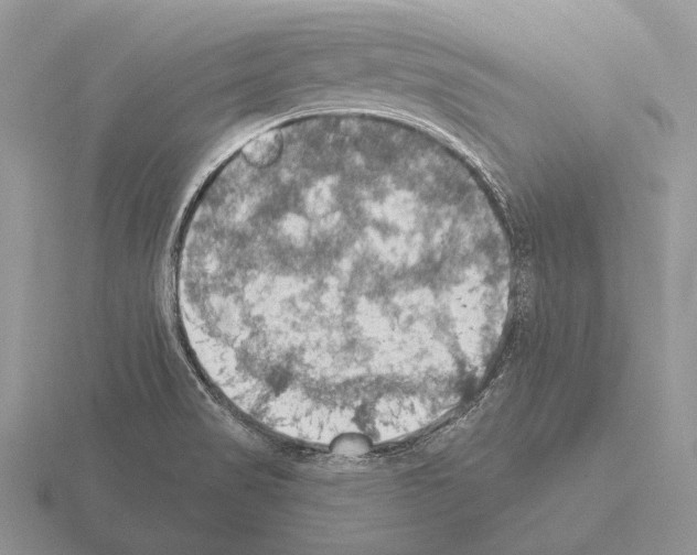 X0000115401517200912151510