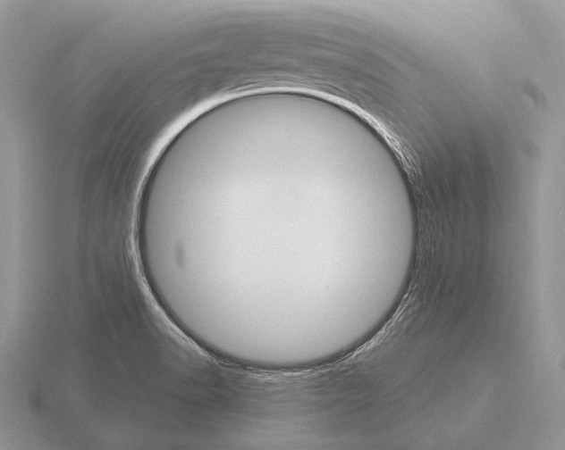 X0000115401518200912151510