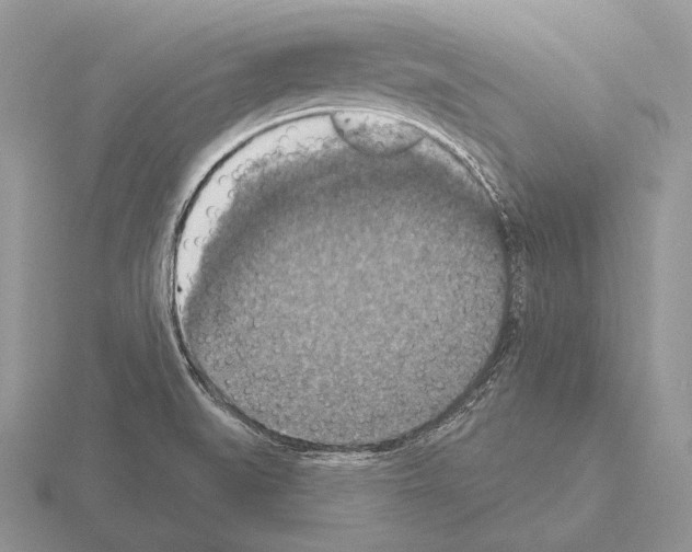 X0000115401519200912151510