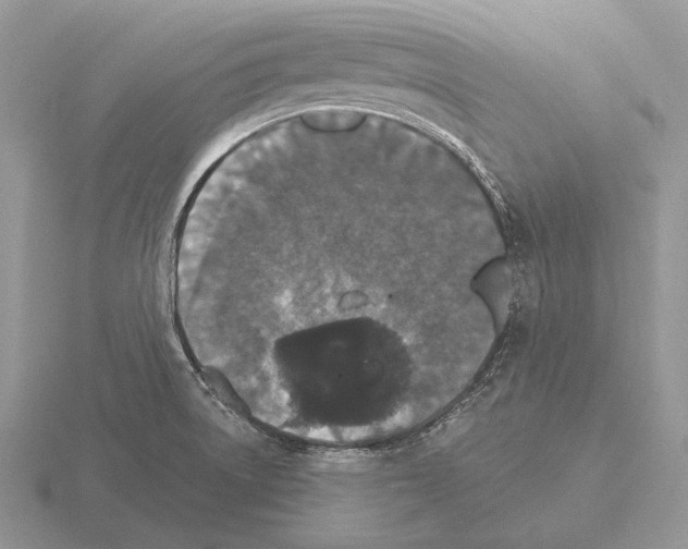 X0000115401522200912151510