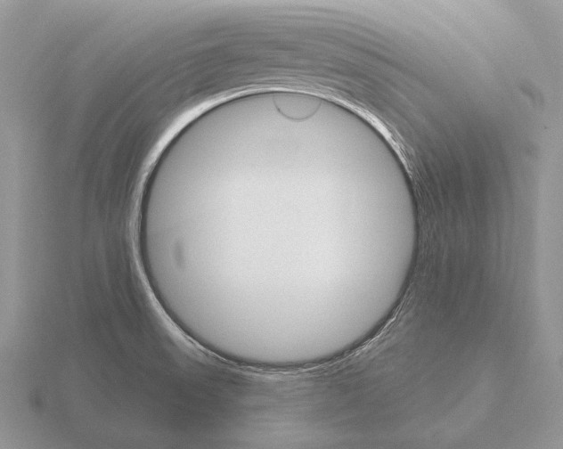 X0000115401523200912151510