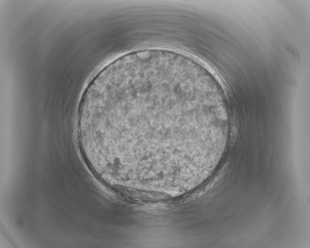 X0000115401525200912151510