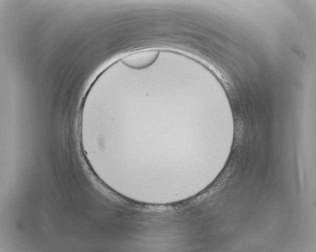 X0000115401526200912151510