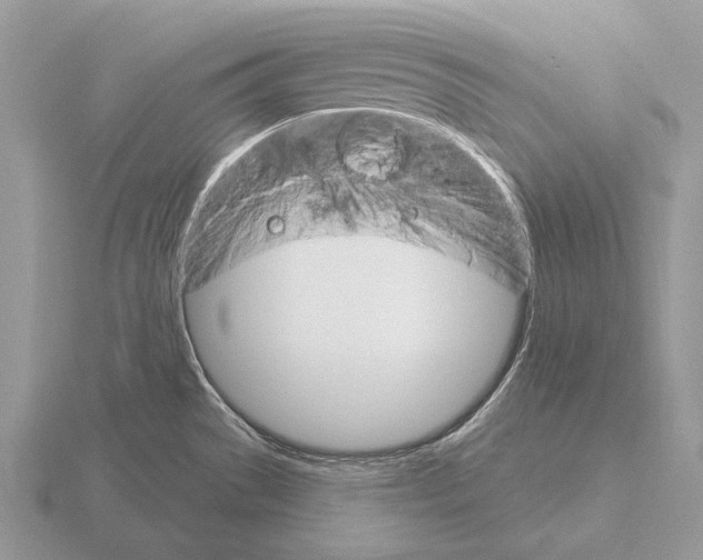 X0000115401529200912151510