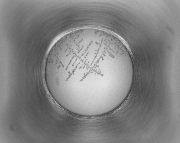 X0000115401530200912151510