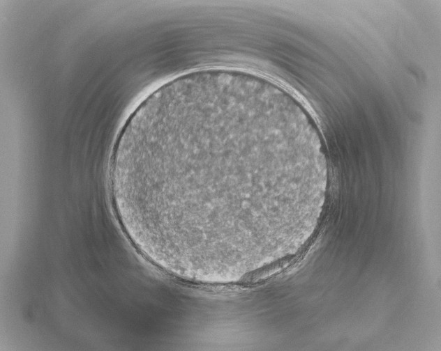 X0000115401533200912151510