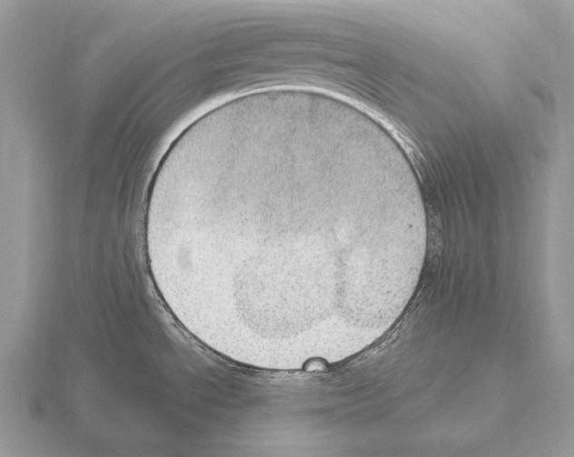 X0000115401534200912151510