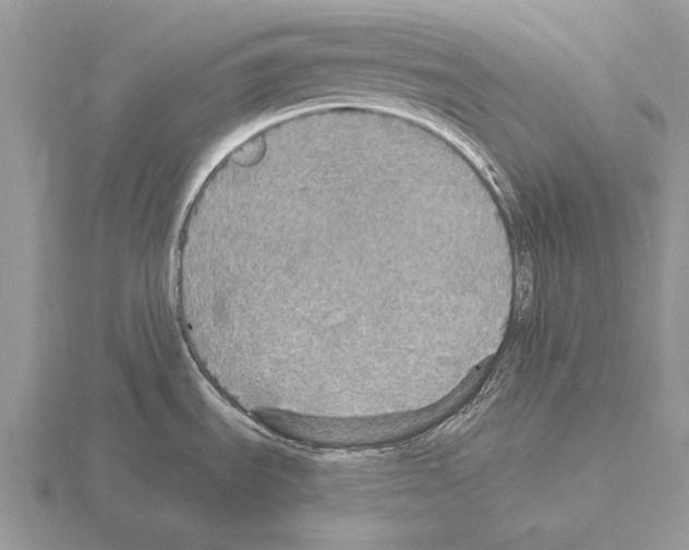 X0000115401535200912151510