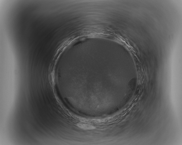 X0000115410002200911101621