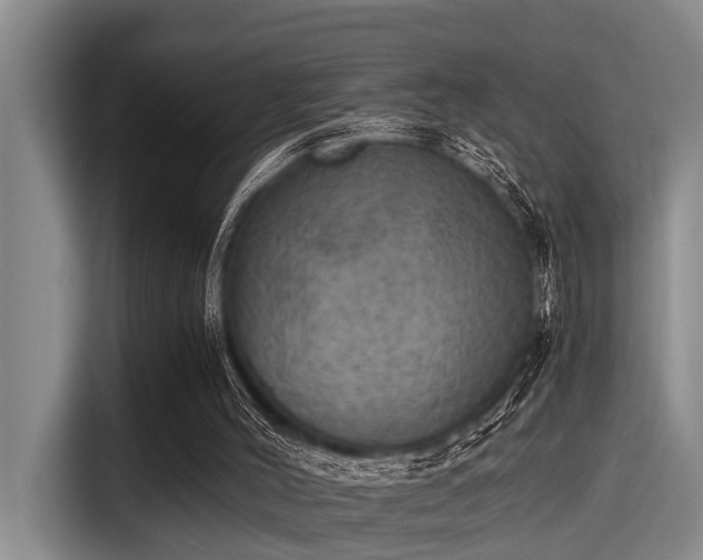 X0000115410004200911101621