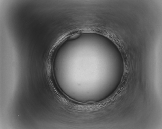 X0000115410005200911101621