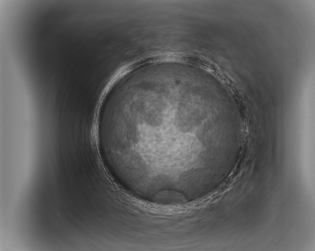 X0000115410006200911101621