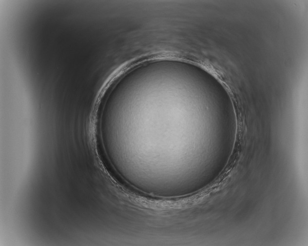 X0000115410007200911101621