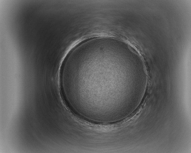 X0000115410008200911101621