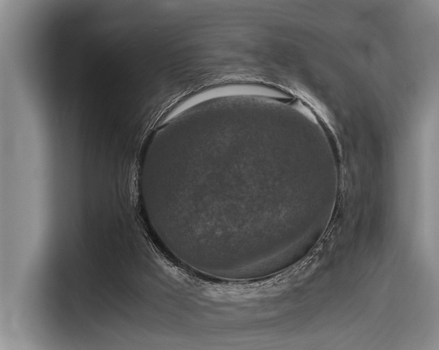 X0000115410009200911101621