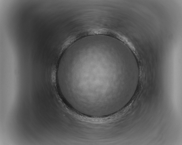 X0000115410010200911101621