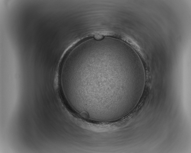 X0000115410012200911101621