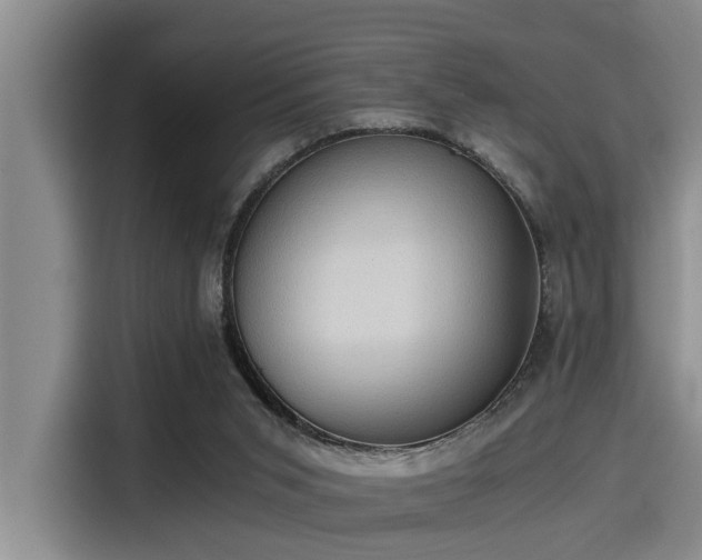 X0000115410015200911101620