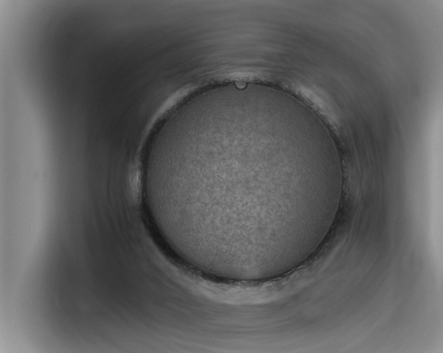 X0000115410016200911101620