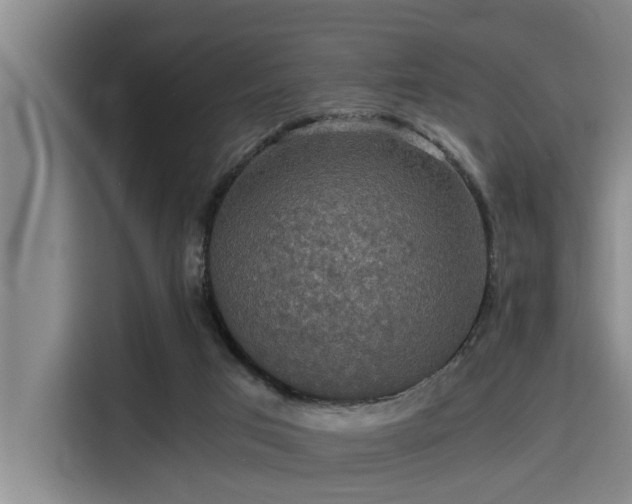 X0000115410017200911101620