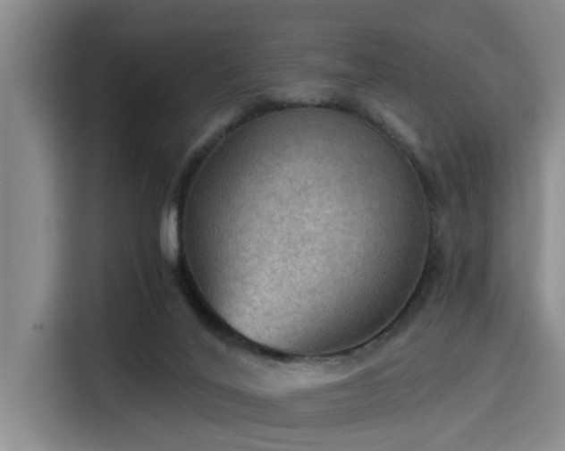 X0000115410020200911101620