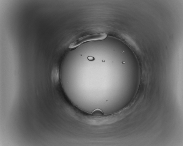 X0000115410021200911101620