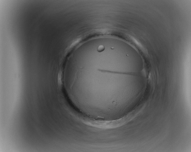 X0000115410023200911101620