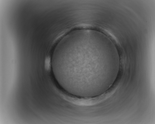X0000115410024200911101620
