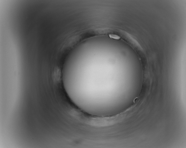 X0000115410025200911101620