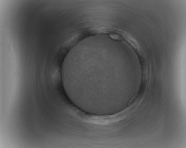 X0000115410029200911101620