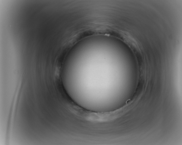 X0000115410033200911101620