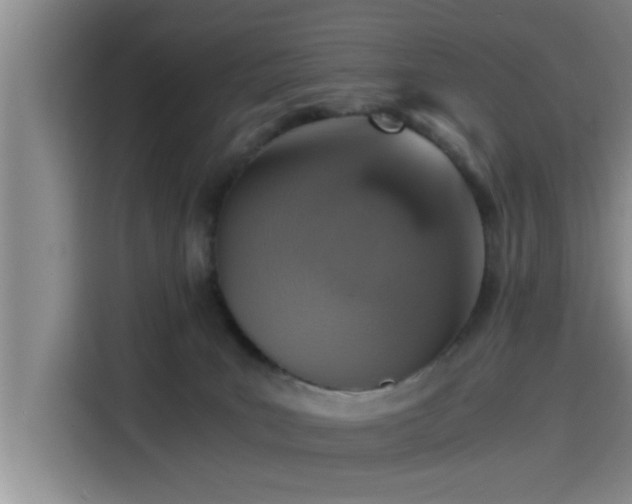X0000115410035200911101620