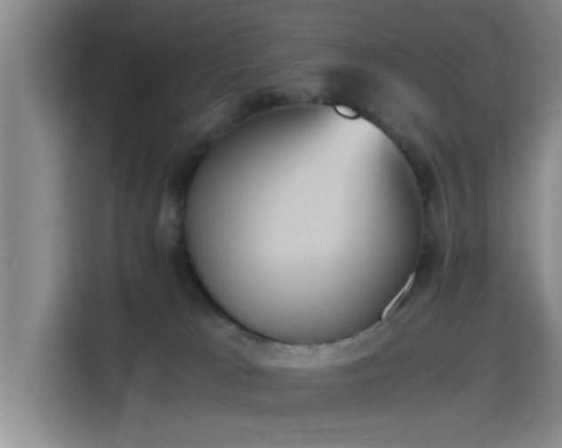 X0000115410037200911101620