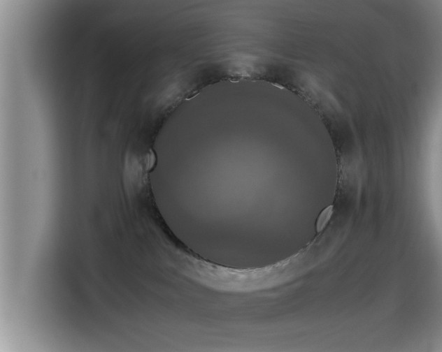 X0000115410043200911101620