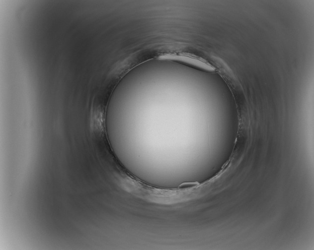 X0000115410045200911101620